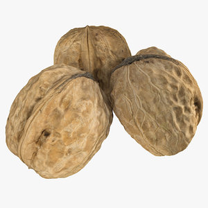 walnut scan 3d 3ds