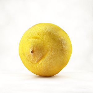 lemon 3d max