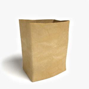 brown grocery bag 3d model