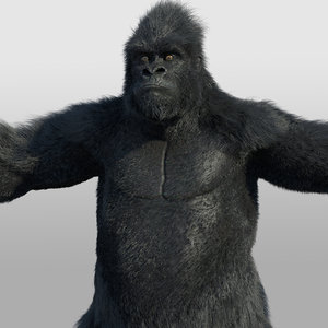 Gorilla 3D Models for Download | TurboSquid