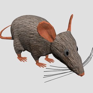 3d model rat mouse