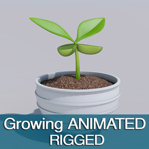 animation sprout 3d model