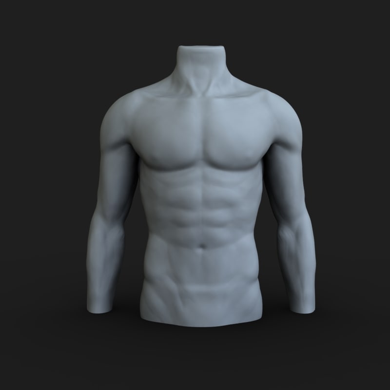 3d male mannequin