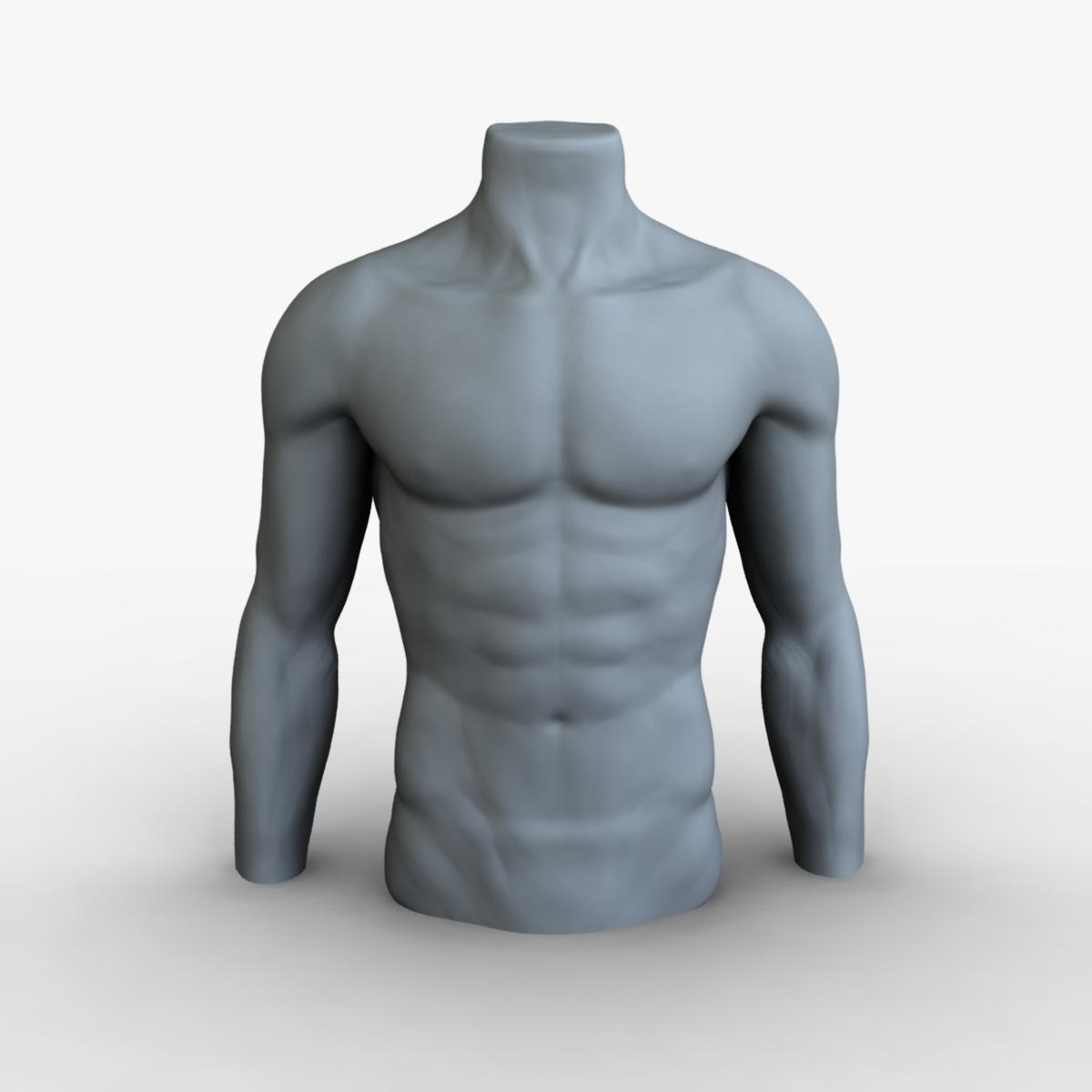 3d Male Mannequin