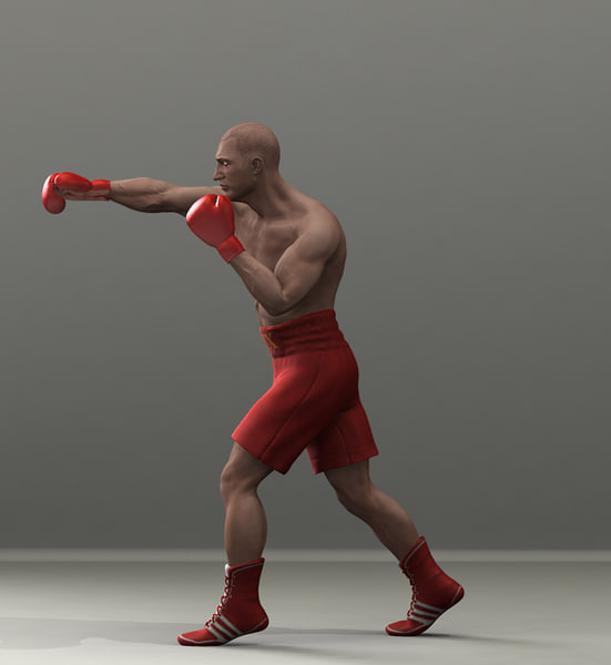 3d boxer boxing