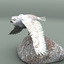 snowy owl 3d model