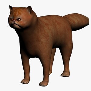 3ds max red persian cat