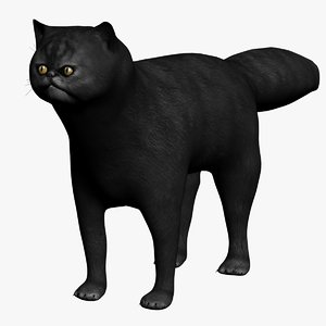 3ds max black cat