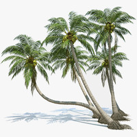 Palm Tree 3d Models For Download Turbosquid - 3ds max palm tree models free download