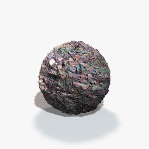 Cold Forest Seamless Texture