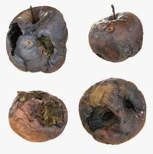 3d rotten decayed apples model