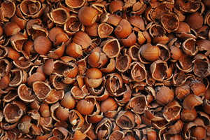Nut_Texture_0001