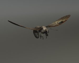 moth - bone rig 3d max