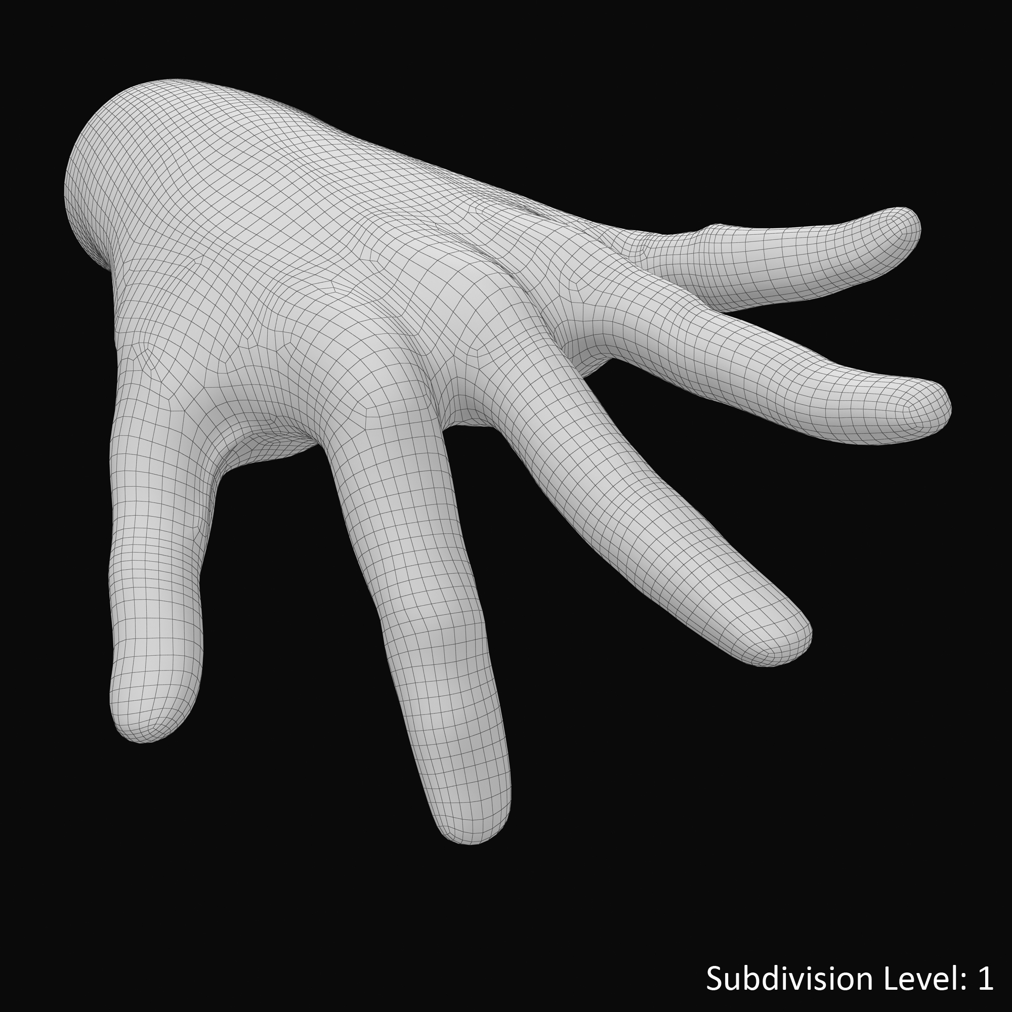 手与索契皮肤类型53d模型