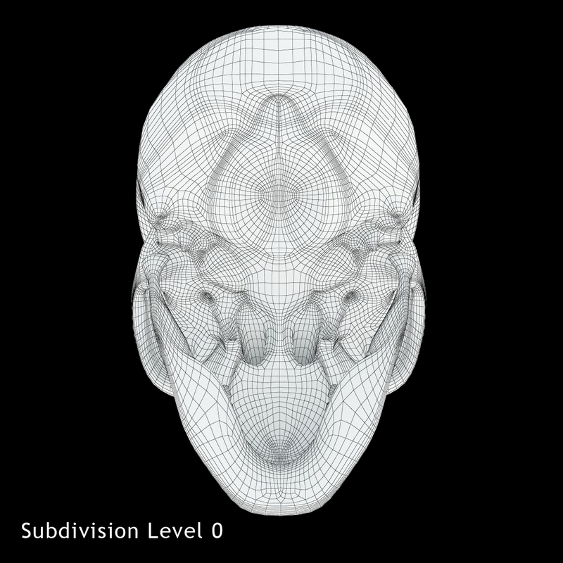 human skull head 3d 3ds