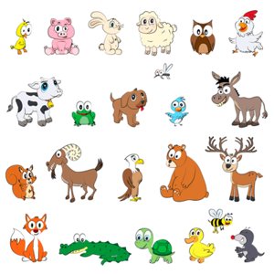 Animals
