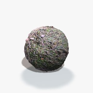 Moss Woodland Seamless Texture