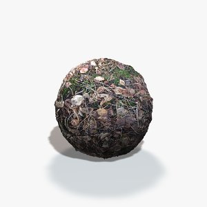 Woodland Texture