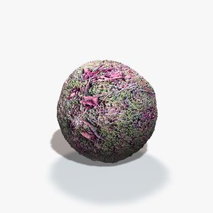 Moss Seamless Texture