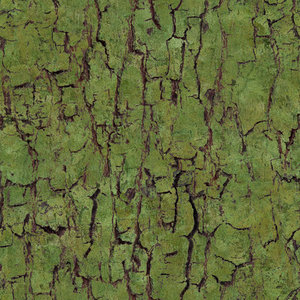 treebasebest7a