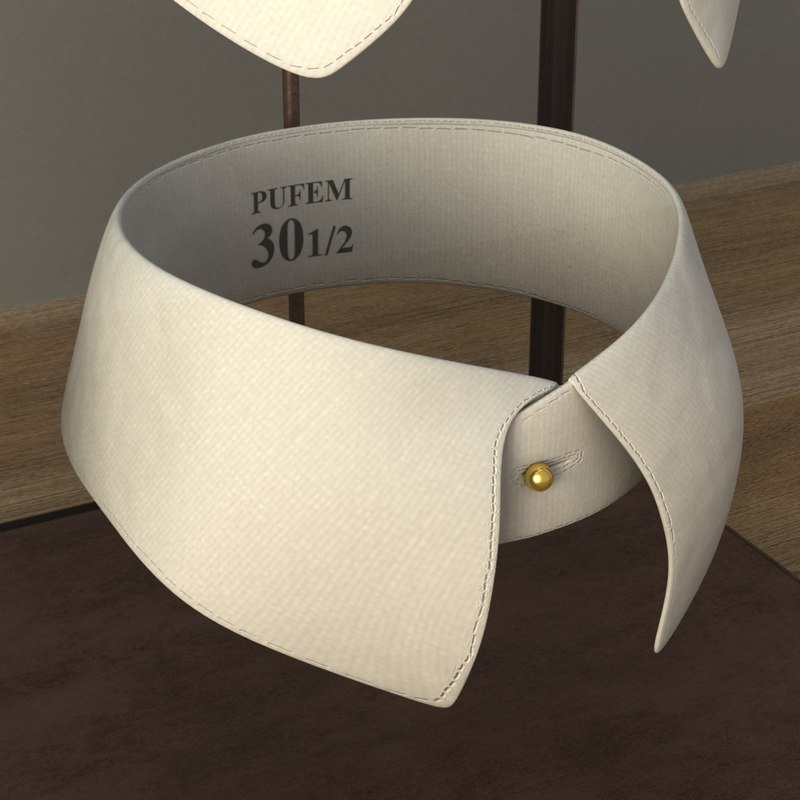 tailor s collars 3d max