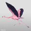 3d realistic flying pink flamingo model