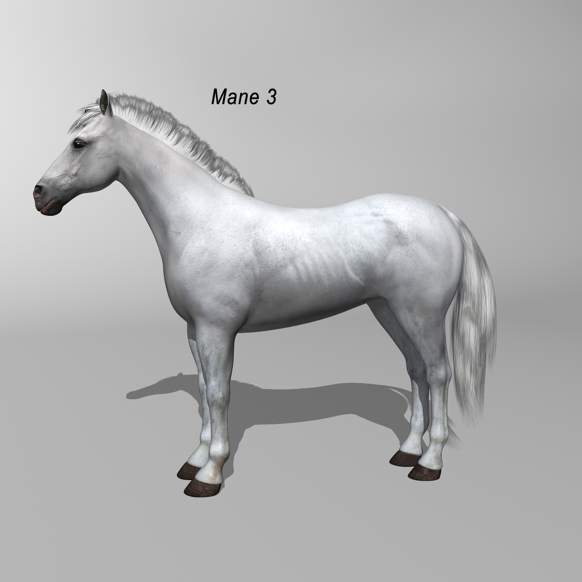 white rigged looped 3d c4d