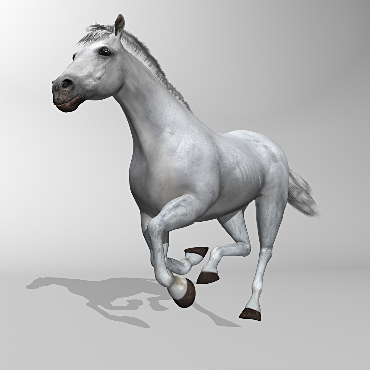 white rigged looped 3d c4d