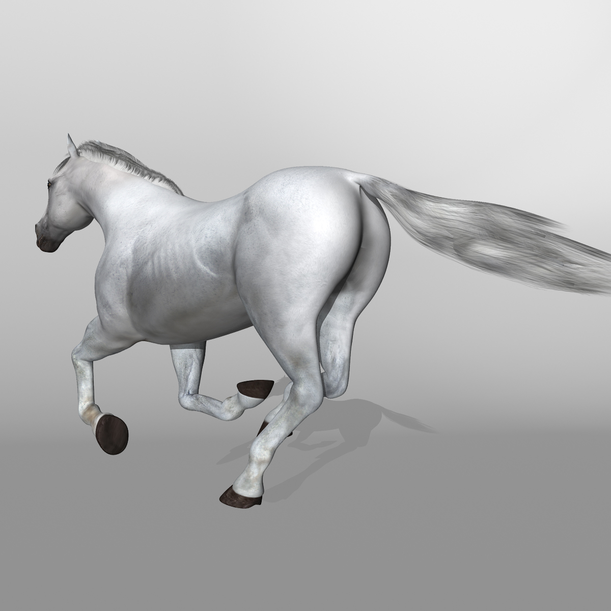 white rigged looped 3d c4d