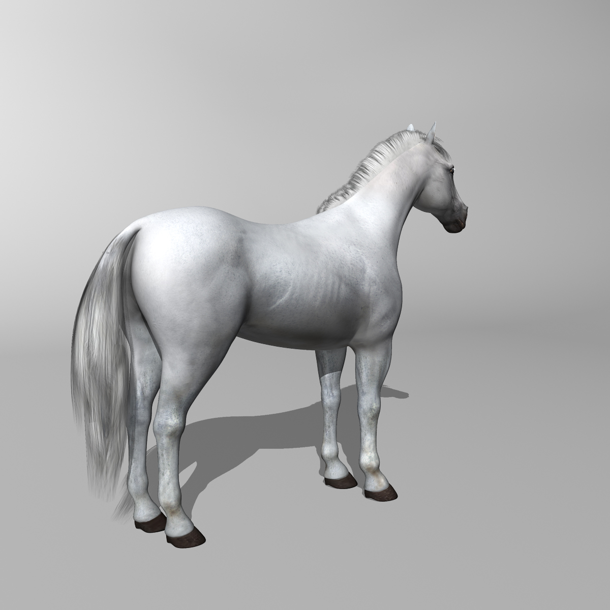 white rigged looped 3d c4d