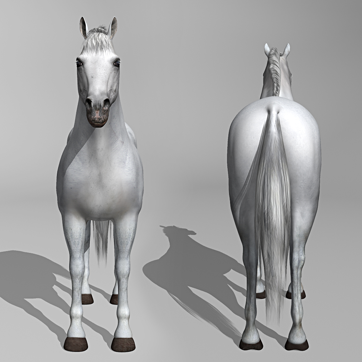 white rigged looped 3d c4d