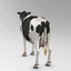 animation cow max
