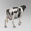 animation cow max