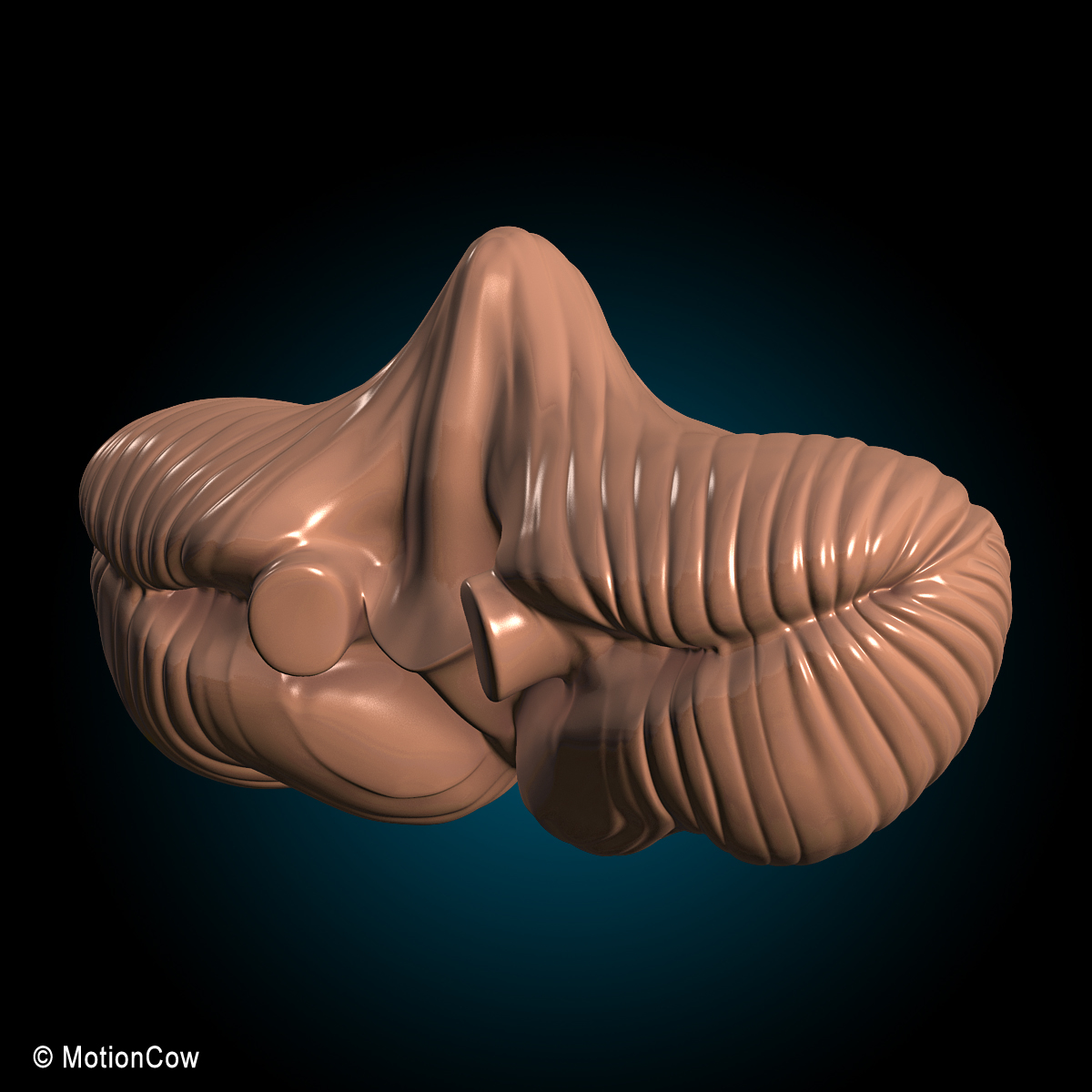 3d model human anatomy nervous systems