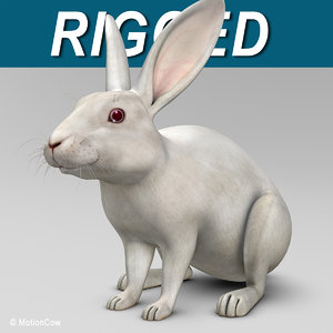 3d realistic white rabbit