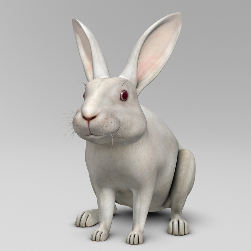 3d realistic white rabbit