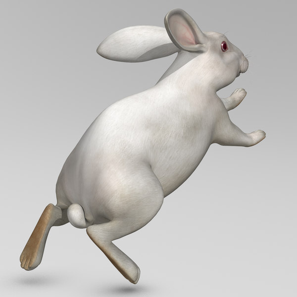 3d realistic white rabbit