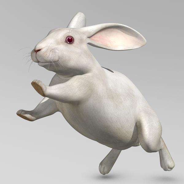3d realistic white rabbit