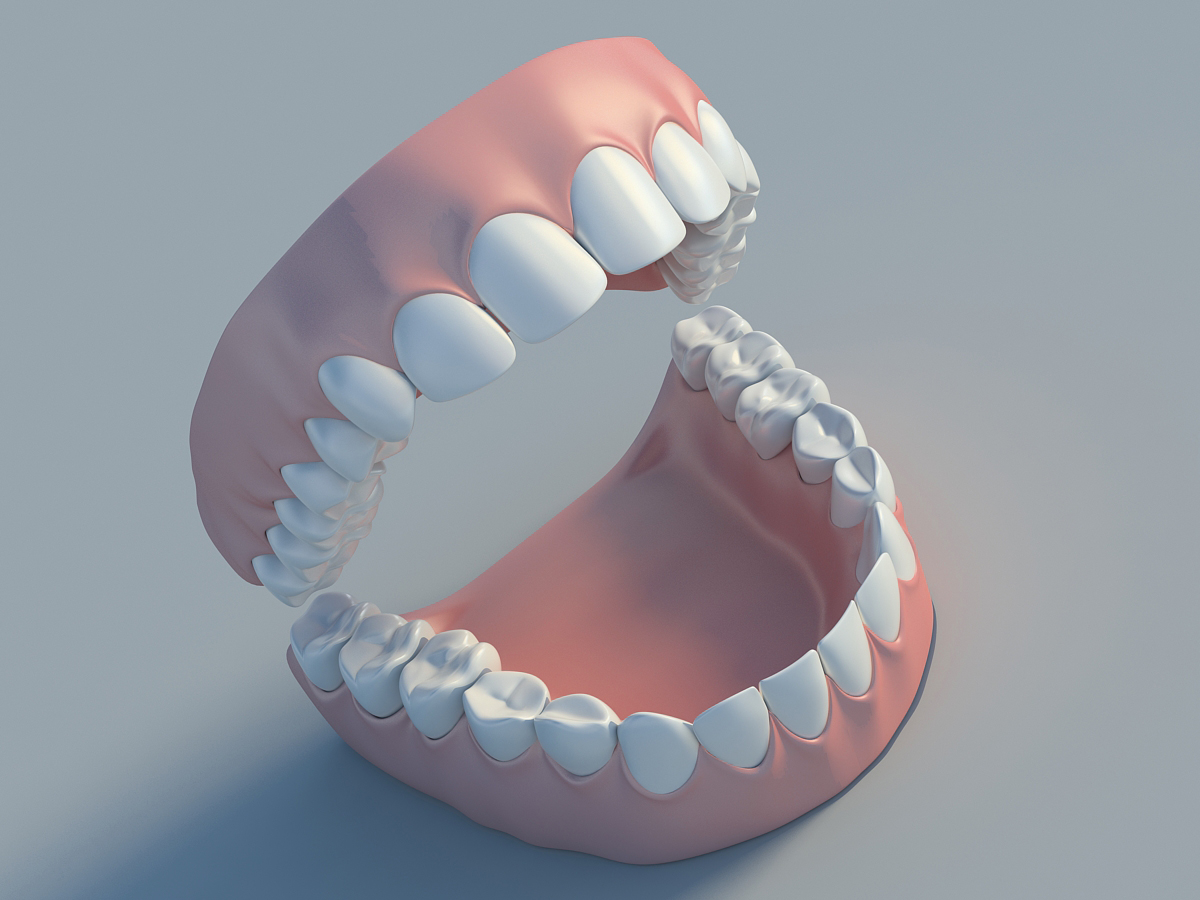 human teeth 3d model