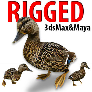 3d model duck animation