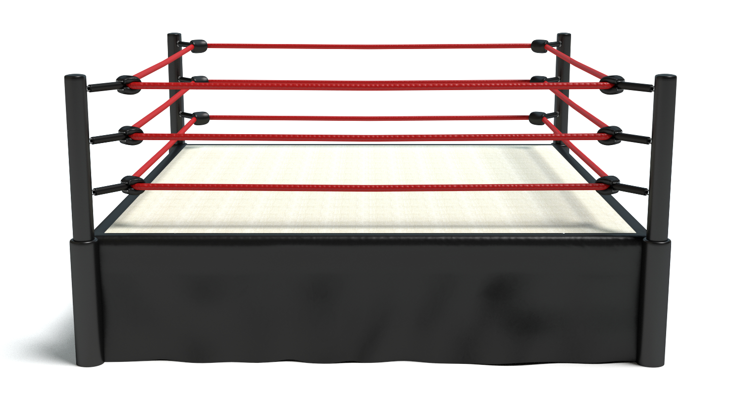 wrestling ring life size