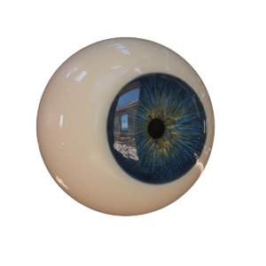 3d model eye