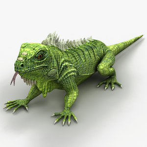 iguana lizard 3d max