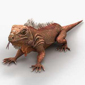 3d model iguana lizard