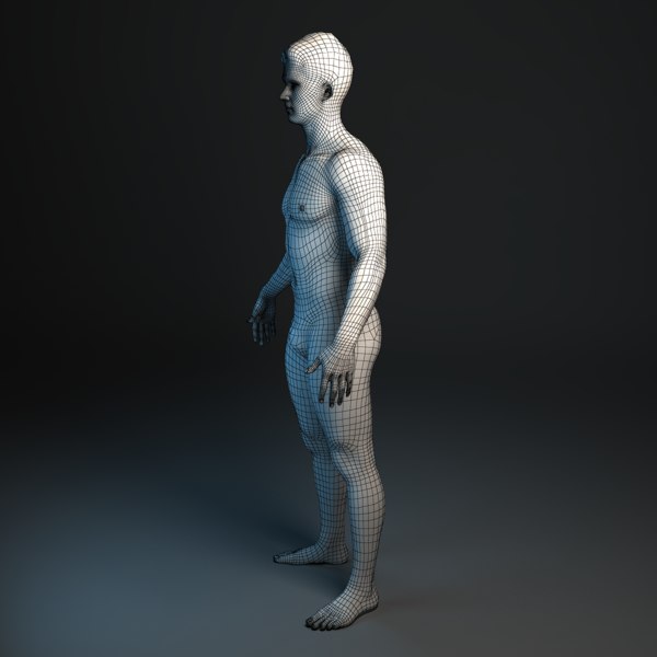 3d human rigging ready