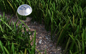 Grass Closeup Render