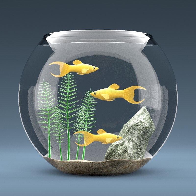 aquarium equipped decorations 3d model