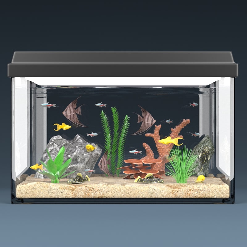 3d model aquarium equipped decorations