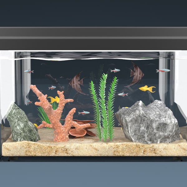 3d model aquarium equipped decorations