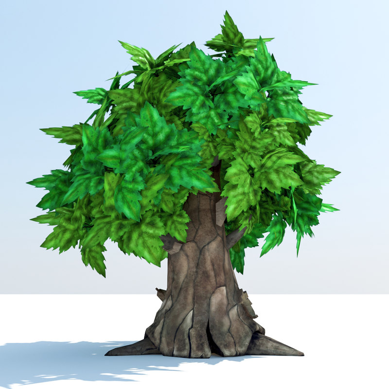 3d model oak tree